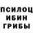 Галлюциногенные грибы Psilocybine cubensis Cindy Adkins