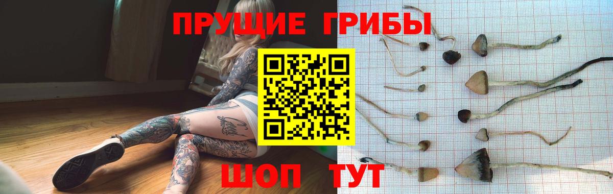 Зерноград  Галлюциногенные грибы MAGIC MUSHROOMS  Вход с VPN 