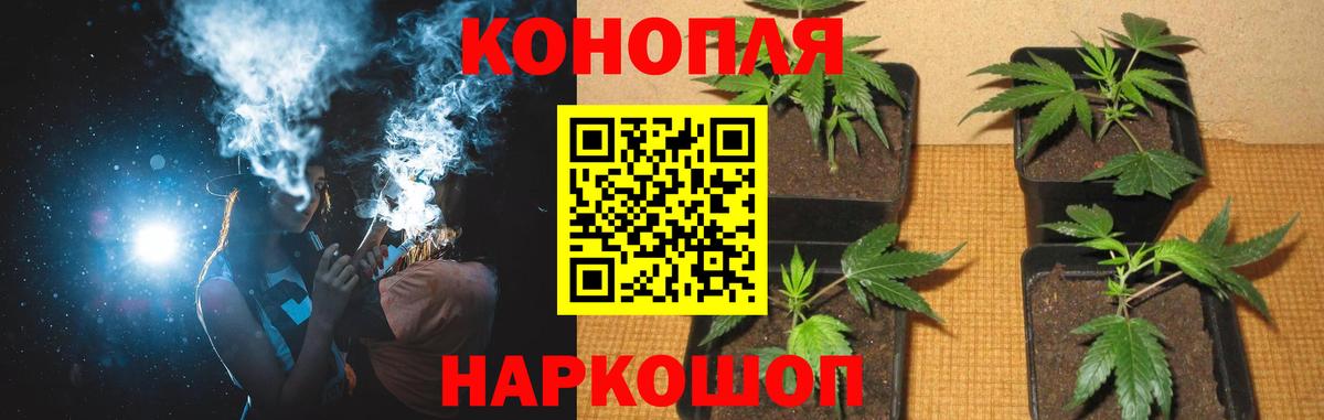 МАРИХУАНА планчик  Вход с VPN  Зерноград  Каннабис AK-47  Каннабис марихуана 